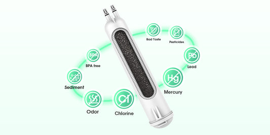 How a Refrigerator Water Filter Improves the Taste of Your Water
