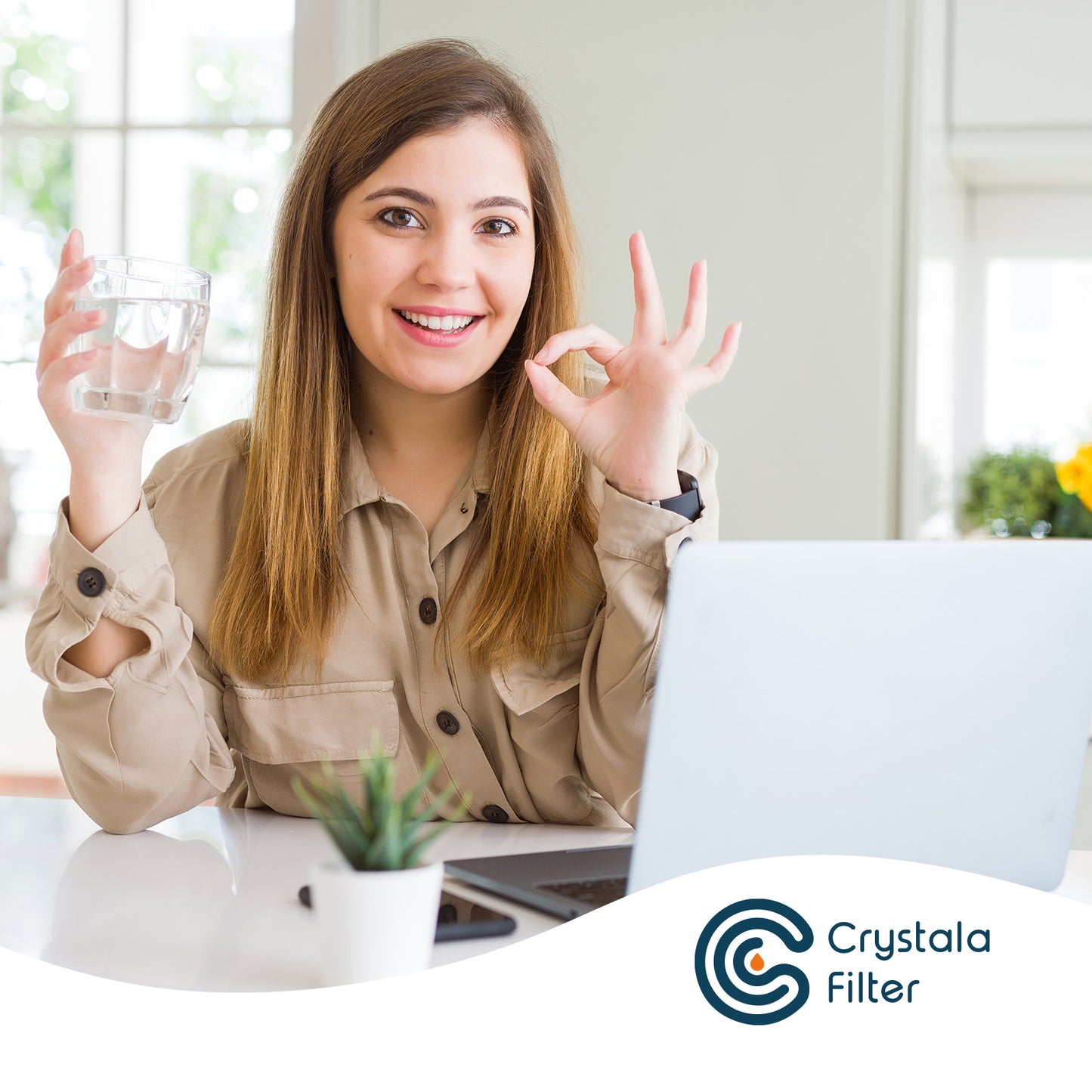 Crystalafilter LT1000PC Replacement Water Filter, Compatible with LG ADQ747935